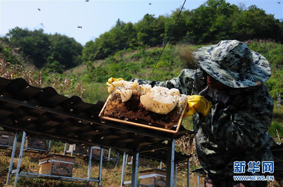 （新華全媒頭條&middot;圖文互動）（4）永不歸來的&ldquo;戰士&rdquo;&mdash;&mdash;追記倒在脫貧攻堅一線的貴州沿河縣駐村第一書記文偉紅