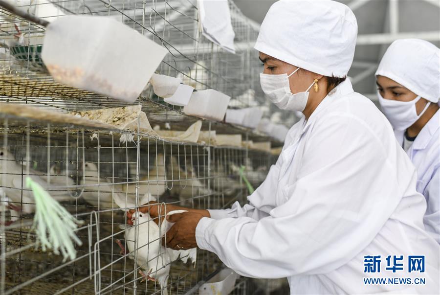 （決戰決勝扶貧攻堅&middot;圖文互動）（5）凝心聚力奔小康&mdash;&mdash;新疆南疆四地州脫貧攻堅成就綜述