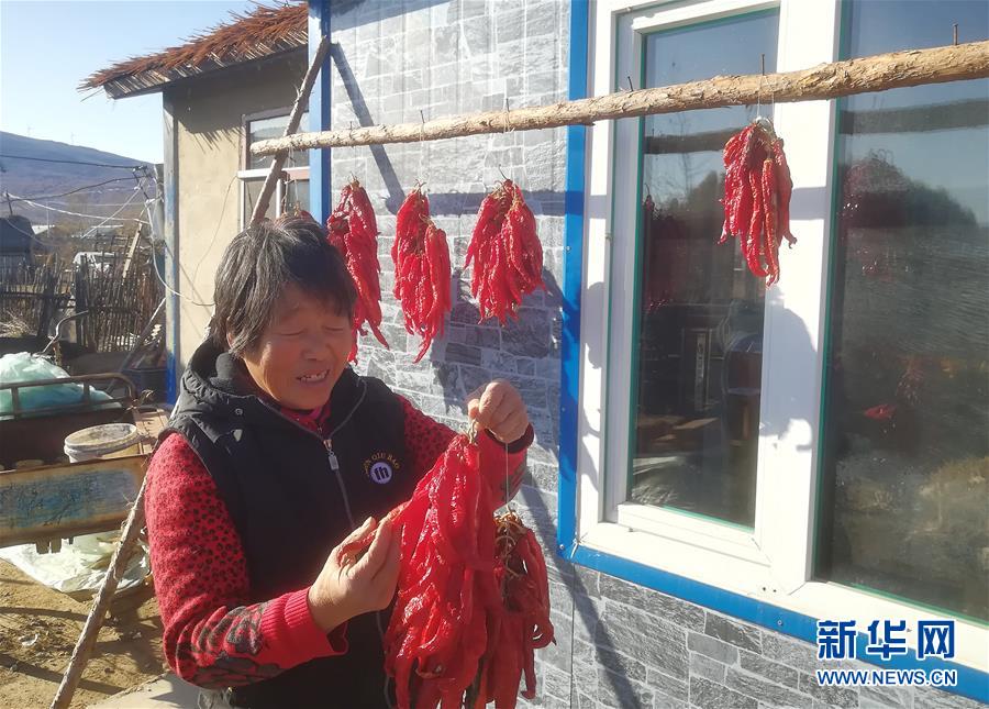 (在習(xí)近平新時(shí)代中國特色社會(huì)主義思想指引下——新時(shí)代新作為新篇章·總書記關(guān)心的百姓身邊事·圖文互動(dòng))(3)一個(gè)貧困山村的振興新動(dòng)能——小故事里的大情懷之五