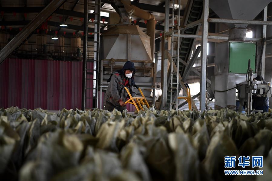 （新華全媒頭條&middot;圖文互動(dòng)）（7）為美麗中國增添綠色動(dòng)力&mdash;&mdash;2019年太原能源低碳發(fā)展論壇釋放綠色發(fā)展新信號(hào)