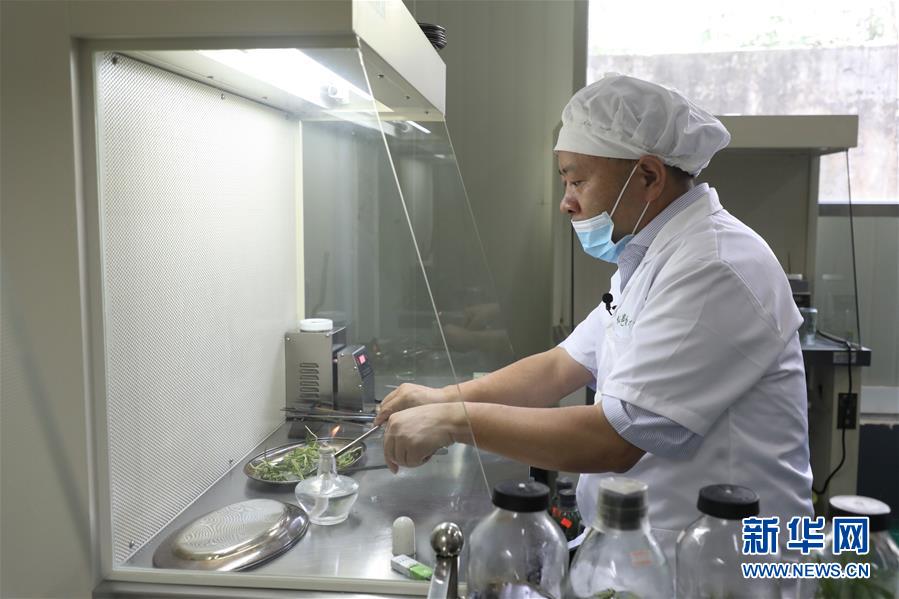 （在習近平新時代中國特色社會主義思想指引下&mdash;&mdash;新時代新作為新篇章&middot;總書記關心的百姓身邊事&middot;圖文互動）（5）&ldquo;科技秀才&rdquo;給田野帶來新希望