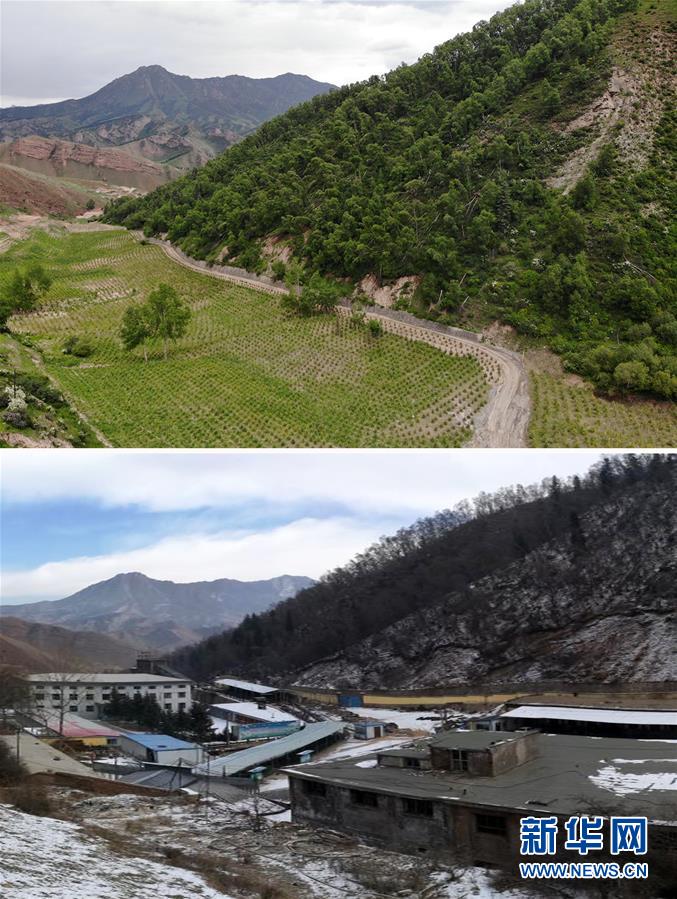（新華全媒頭條&middot;圖文互動）（8）綠色的啟示&mdash;&mdash;西部地區生態問題典型個案再調查