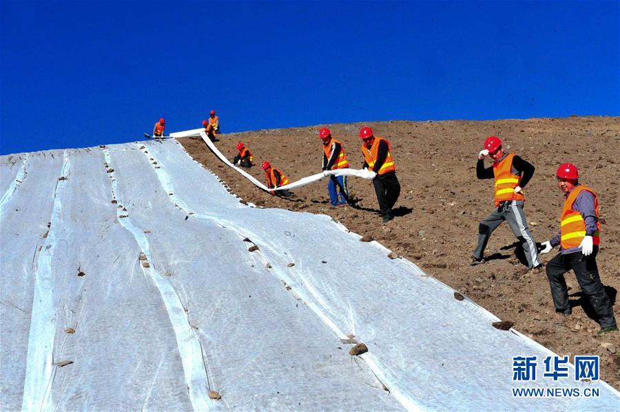 （新華全媒頭條&middot;圖文互動）（6）綠色的啟示&mdash;&mdash;西部地區生態問題典型個案再調查