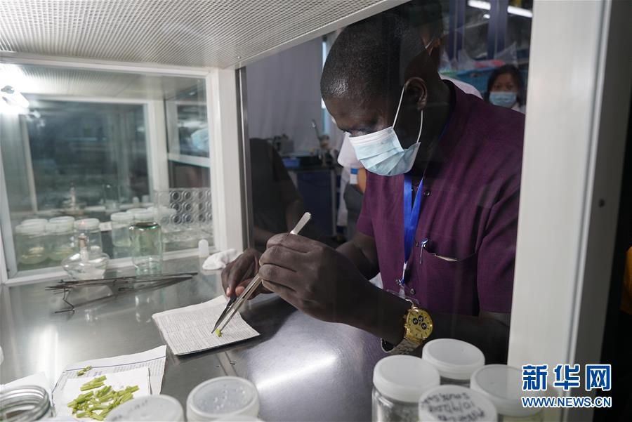 （在習近平新時代中國特色社會主義思想指引下&mdash;&mdash;新時代新作為新篇章&middot;總書記關切開放事&middot;圖文互動）（8）來中國&ldquo;學種地&rdquo;的&ldquo;洋學生&rdquo;