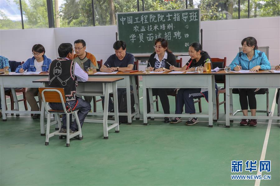 （新華全媒頭條&middot;時代先鋒&middot;圖文互動）（4）&ldquo;要把論文寫在大地上&rdquo;&mdash;&mdash;記&ldquo;農民院士&rdquo;朱有勇