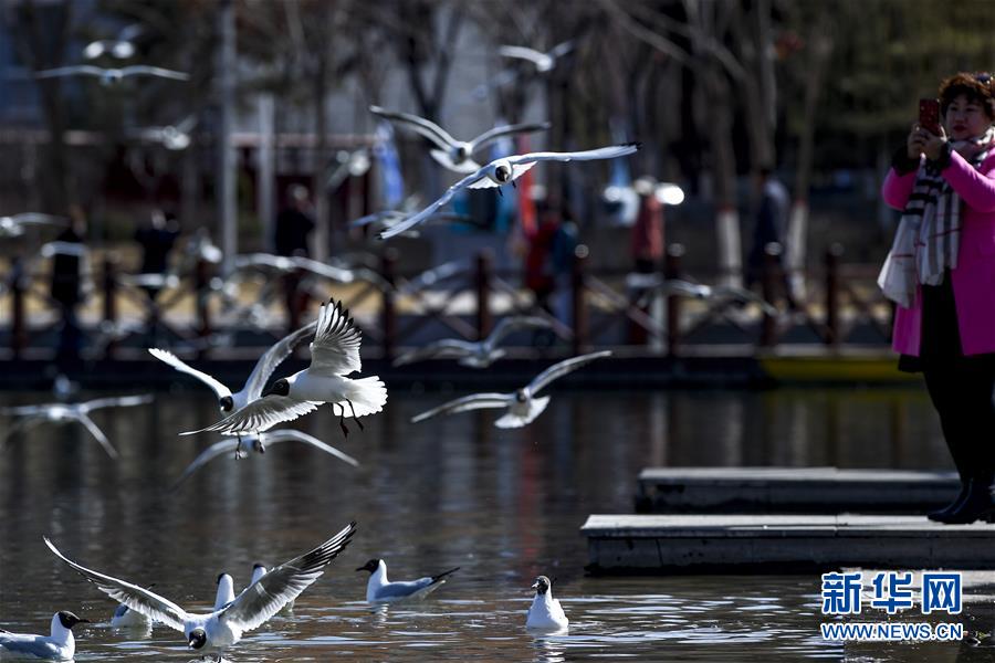 （新華全媒頭條&middot;圖文互動）（15）從水困到水興&mdash;&mdash;寧夏&ldquo;水樣本&rdquo;中的發展密碼