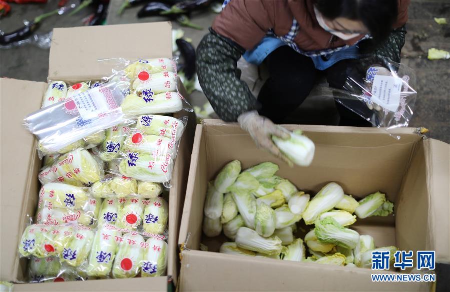 (聚焦疫情防控·圖文互動)(2)特寫:蔬菜批發市場里感受“春”意