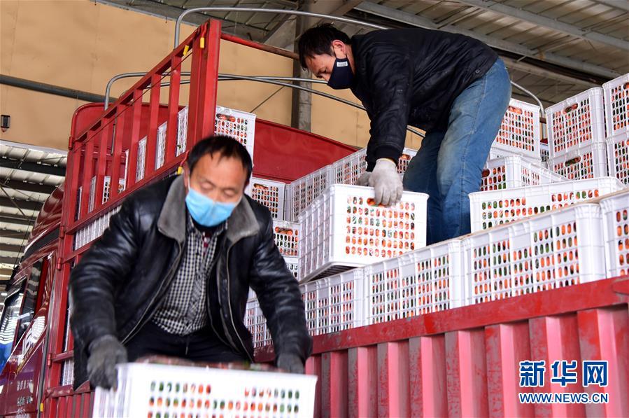 （聚焦疫情防控&middot;圖文互動）（5）吃的東西充足，做點花樣菜吧！&mdash;&mdash;中部地區最大農產品批發市場見聞 