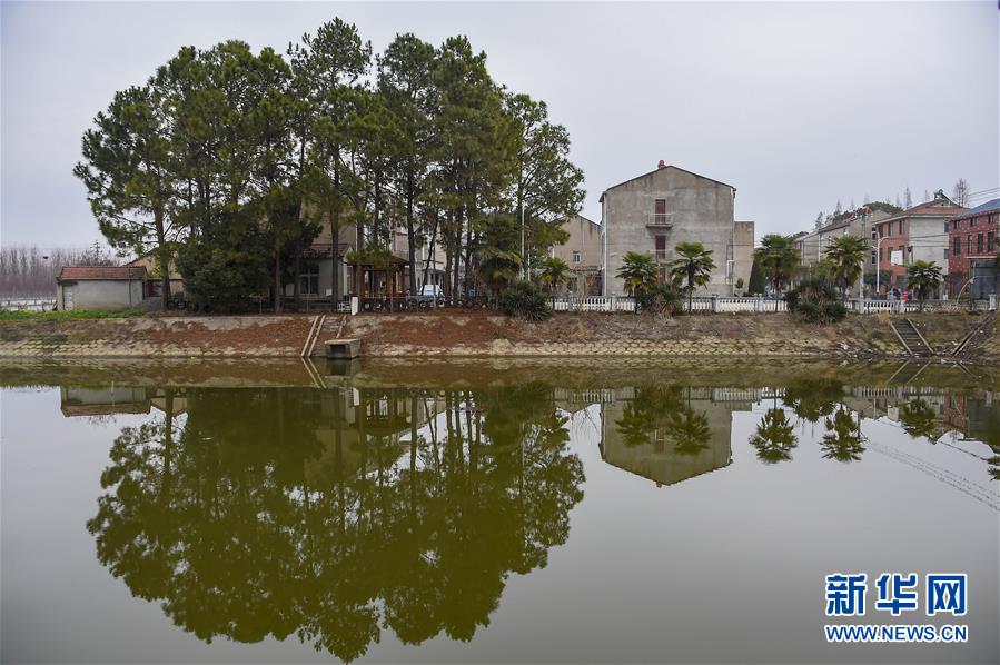 （聚焦疫情防控&middot;圖文互動）（3）一個湖北村莊的阻擊戰