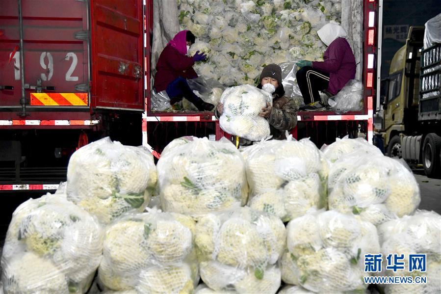 （在習近平新時代中國特色社會主義思想指引下&mdash;&mdash;新時代新作為新篇章&middot;習近平總書記關切事&middot;圖文互動）（5）&ldquo;菜籃子&rdquo;里的力量&mdash;&mdash;全國各地努力做好保障和改善民生工作在行動