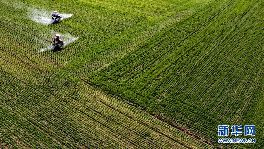 (新華全媒頭條·圖文互動)(13)磨難壓不垮 奮起正當時——習近平總書記在統籌推進新冠肺炎疫情防控和經濟社會發展工作部署會議上的重要講話振奮人心凝聚力量