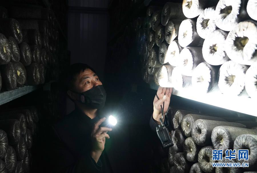 （決戰(zhàn)決勝脫貧攻堅&middot;圖文互動）（4）秦巴山區(qū)：戰(zhàn)疫戰(zhàn)貧，兩場仗都要打贏