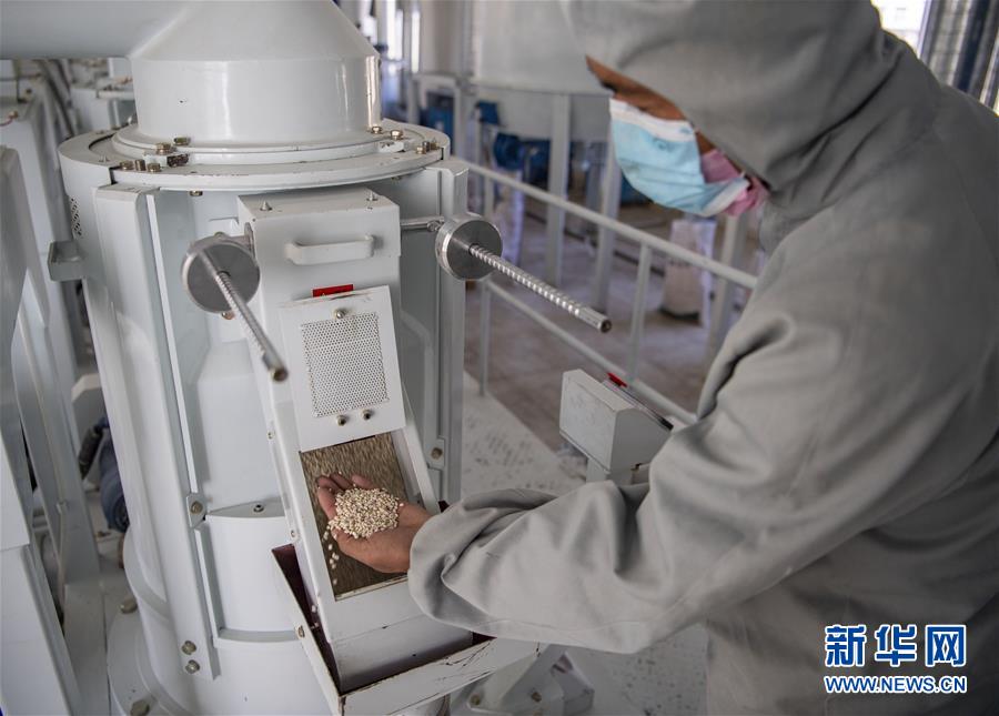 （新華全媒頭條&middot;圖文互動）（7）血脈同心 共盼春來&mdash;&mdash;疫情阻擊戰中的雪域故事