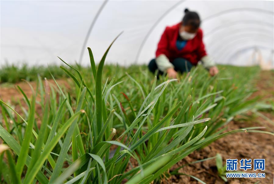 （圖文互動）（3）&ldquo;春天到了，熟悉的生活正在慢慢回來&rdquo;&mdash;&mdash;陜西多地復產復工一線見聞