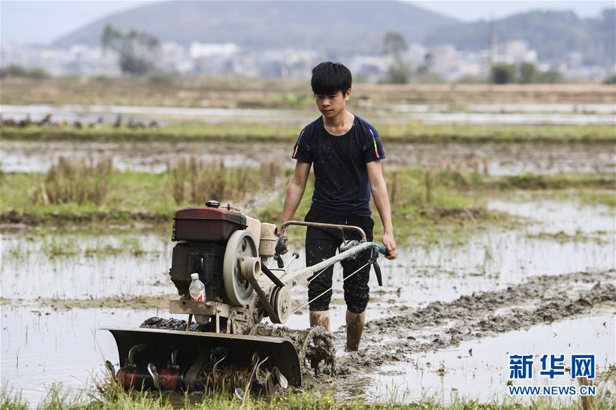 (圖文互動)(1)“早一天復工,損失就少一點”——廣西以精準防控推動復工復產一線見聞