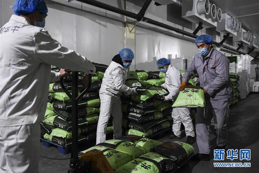 （抓好經濟發展 應對復雜局面&middot;圖文互動）（1）&ldquo;一企一策&rdquo;解難題 大項目按下&ldquo;加速器&rdquo;&mdash;&mdash;廣西精準有序推動項目開工復工