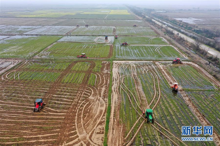 (抓好春耕備耕 穩(wěn)住農(nóng)業(yè)生產(chǎn)·圖文互動(dòng))(2)智能農(nóng)機(jī)、“訂單”服務(wù)、“云端”種菜——來(lái)自江西的春耕“新事”