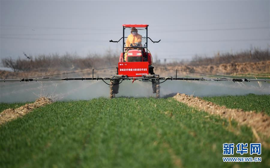 （新華全媒頭條&middot;圖文互動）（9）春色最濃在田間&mdash;&mdash;來自全國春耕備耕的現場觀察