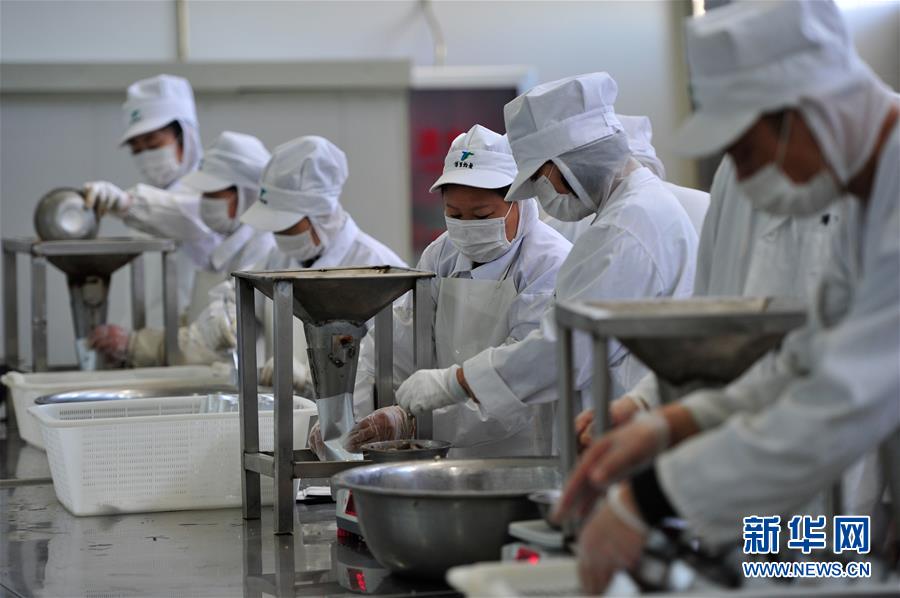 （在習(xí)近平新時(shí)代中國特色社會主義思想指引下&mdash;&mdash;新時(shí)代新作為新篇章&middot;習(xí)近平總書記關(guān)切事&middot;圖文互動）（9）穩(wěn)住千家萬戶的&ldquo;飯碗&rdquo;&mdash;&mdash;各地積極穩(wěn)就業(yè)化解疫情影響