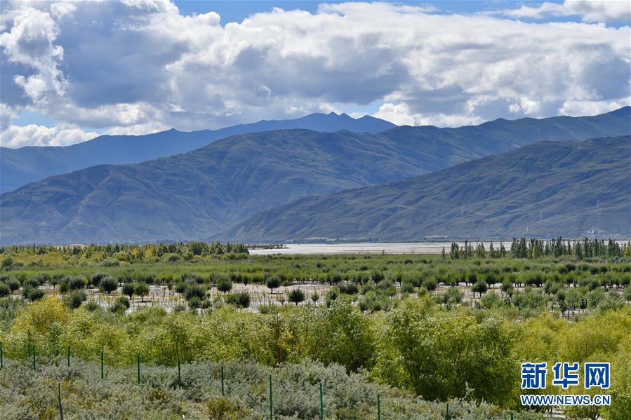 （圖文互動(dòng)）（4）&ldquo;今天的生活，就像夢(mèng)里夢(mèng)到那樣甜&rdquo;&mdash;&mdash;寫(xiě)在西藏百萬(wàn)農(nóng)奴解放61周年之際