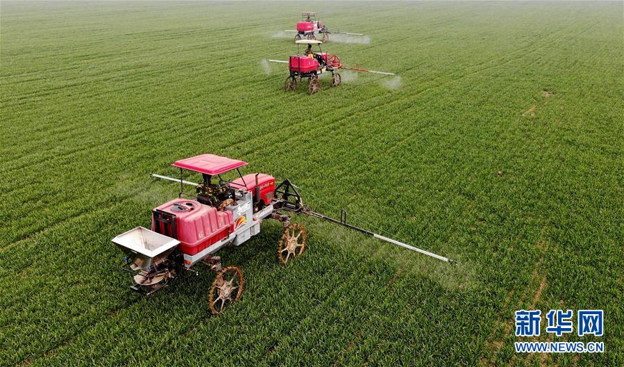 （新華全媒頭條&middot;圖文互動）（3）春天，匯聚復蘇的力量&mdash;&mdash;寫在2020年首季中國經(jīng)濟收官之際