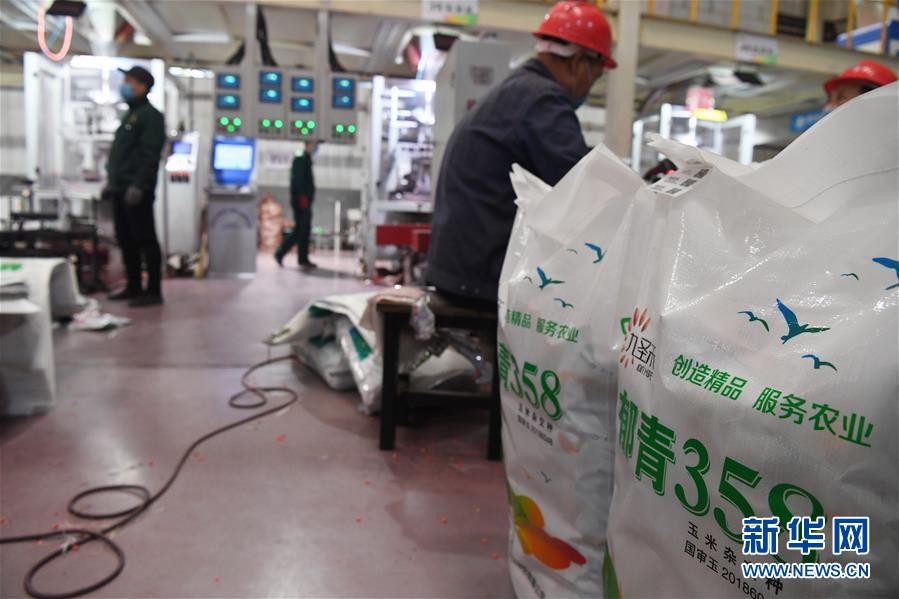 (抓好春耕備耕 穩(wěn)住農(nóng)業(yè)生產(chǎn)·圖文互動)(5)走向泥土是我們的終極夢想——一粒種子的自述