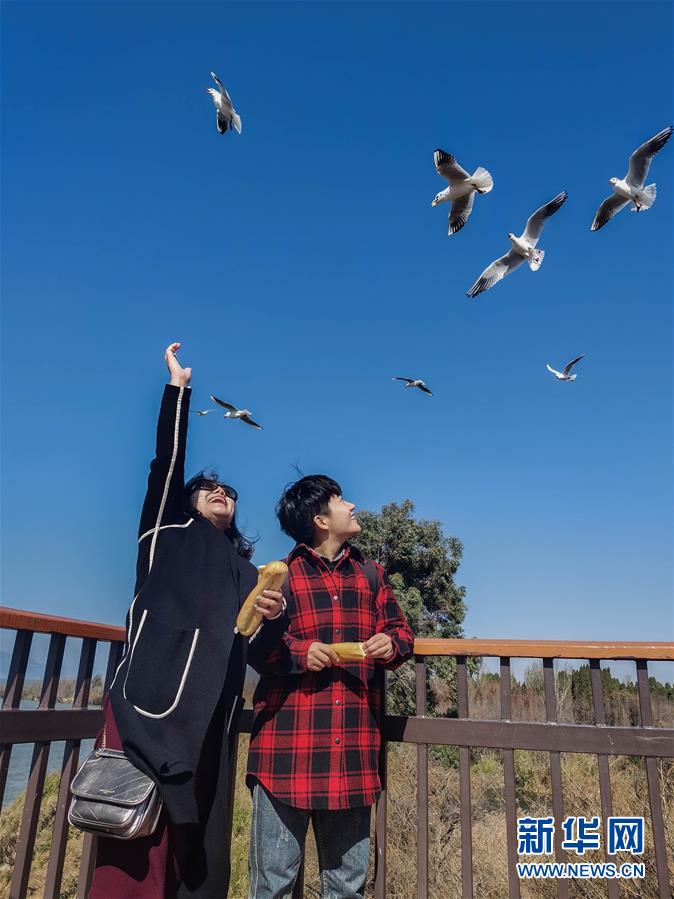 （一線抗疫群英譜&middot;圖文互動）（1）大學生志愿者譚藝西：在武漢，我和媽媽共戰&ldquo;疫&rdquo;