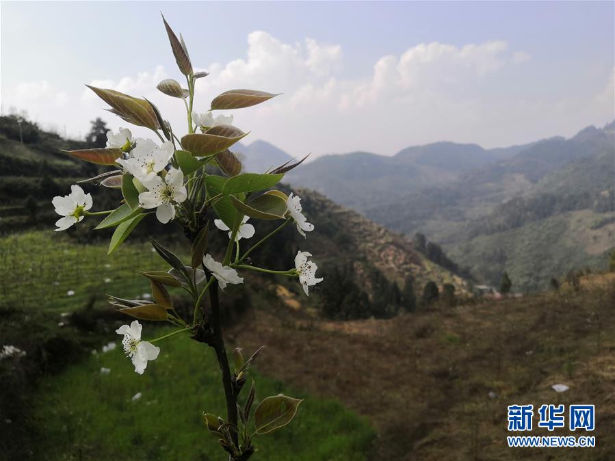 （決戰決勝脫貧攻堅&middot;圖文互動）（1）寄相思，償夙愿&mdash;&mdash;5封清明&ldquo;家書&rdquo;里的決戰決勝信念