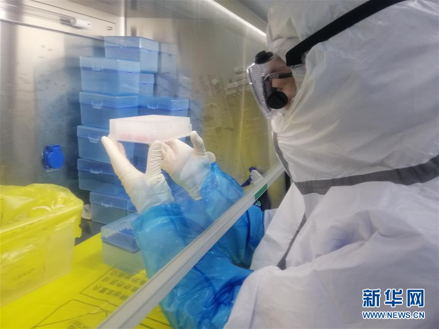 （一線抗疫群英譜&middot;圖文互動）（2）&ldquo;95后&rdquo;大學生郝鶯歌：退掉車票，她選擇直面病毒