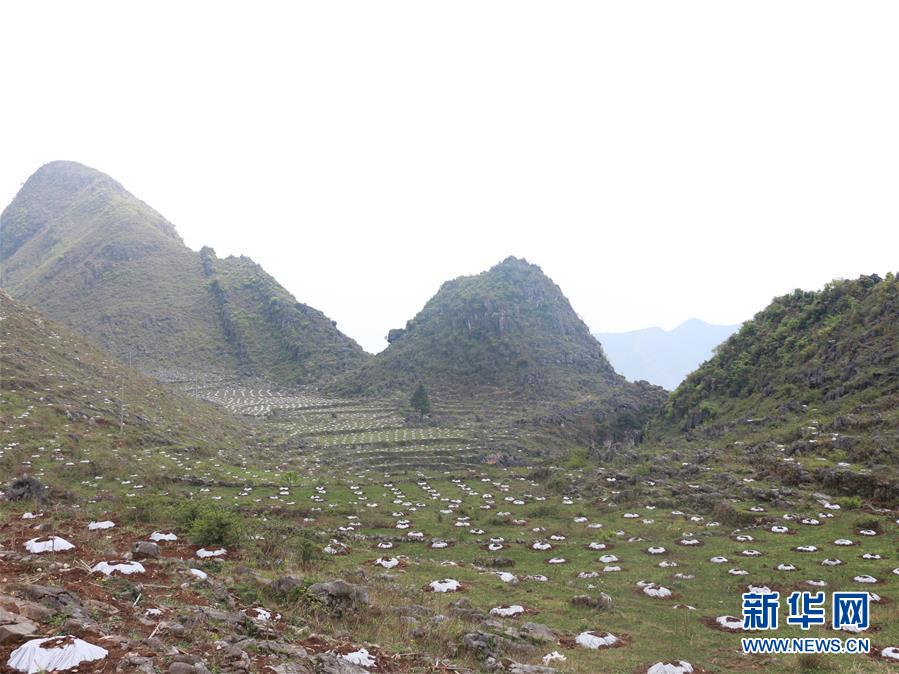 （決戰決勝脫貧攻堅&middot;圖文互動）（4）逐項逐戶排查補齊脫貧攻堅&ldquo;短板&rdquo;&mdash;&mdash;貴州晴隆縣扶貧一線工作見聞 