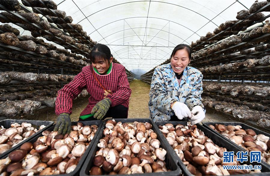 （決戰決勝脫貧攻堅&middot;圖文互動）（1）多重保障 不漏一人&mdash;&mdash;貴州一個脫貧&ldquo;摘帽&rdquo;縣的防貧機制探索