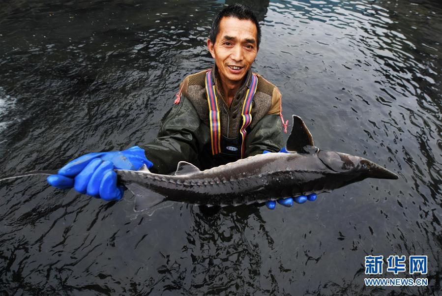 （決戰決勝脫貧攻堅&middot;圖文互動）（4）多重保障 不漏一人&mdash;&mdash;貴州一個脫貧&ldquo;摘帽&rdquo;縣的防貧機制探索