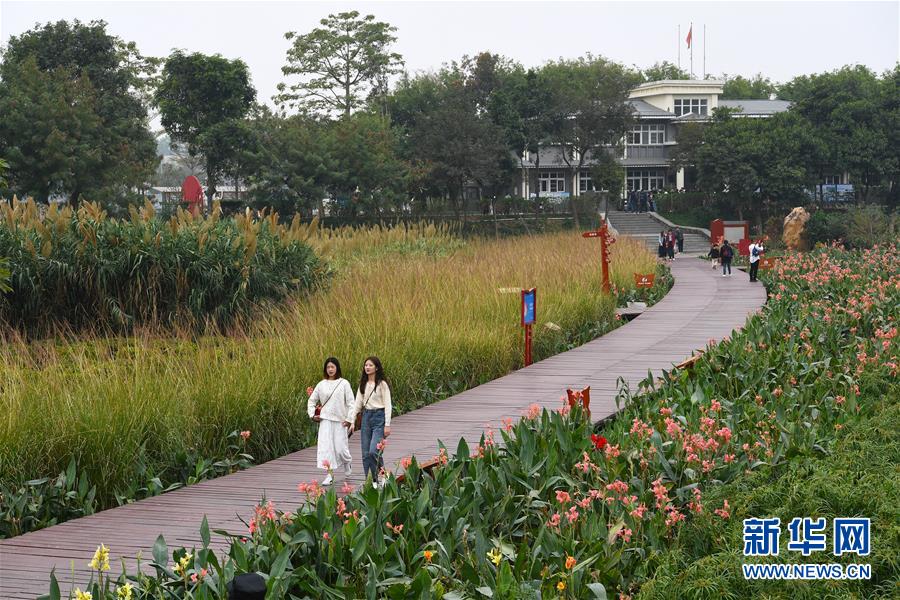 （新華全媒頭條&middot;圖文互動(dòng)）（4）為有源頭清水來(lái)&mdash;&mdash;深圳&ldquo;馴水記&rdquo;