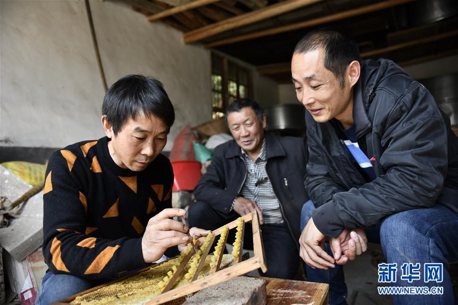 （決戰決勝脫貧攻堅&middot;圖文互動）（3）一位農民的產業扶貧成績單 