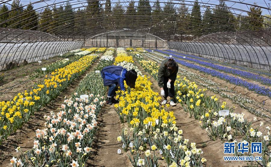 （新華全媒頭條&middot;圖文互動(dòng)）（2）永遠(yuǎn)的夢想 永恒的追求&mdash;&mdash;寫在北京世園會(huì)開幕一周年之際