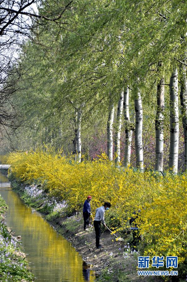 （新華全媒頭條&middot;圖文互動(dòng)）（4）永遠(yuǎn)的夢想 永恒的追求&mdash;&mdash;寫在北京世園會(huì)開幕一周年之際