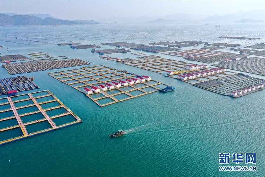 （新華全媒頭條&middot;圖文互動(dòng)）（10）永遠(yuǎn)的夢想 永恒的追求&mdash;&mdash;寫在北京世園會(huì)開幕一周年之際