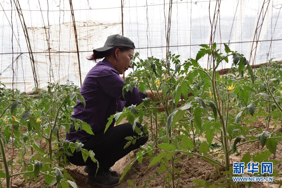 （圖文互動）（2）&ldquo;桃花源&rdquo;里話豐年 &mdash;&mdash;帕米爾山區(qū)一處扶貧搬遷點見聞