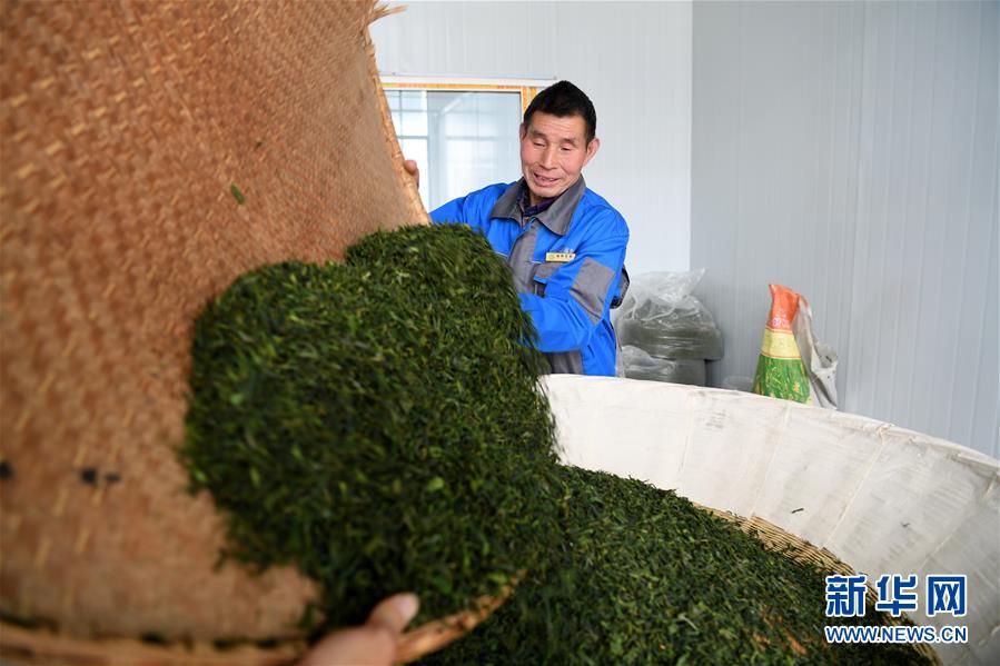 （新華全媒頭條&middot;圖文互動）（5）紅土地上的&ldquo;綠色減貧&rdquo;決戰(zhàn)&mdash;&mdash;大別山&ldquo;將軍縣&rdquo;金寨脫貧紀(jì)實