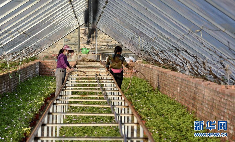 （圖文互動(dòng)）（2）這座小城，鐫刻下怎樣的&ldquo;世園印記&rdquo;&mdash;&mdash;北京世園會(huì)開(kāi)園一周年探訪(fǎng)延慶