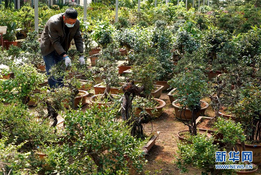 （來自一線的調查報告&middot;圖文互動）（7）搶出一個身位謀發展&mdash;&mdash;河南許昌經濟復蘇見聞