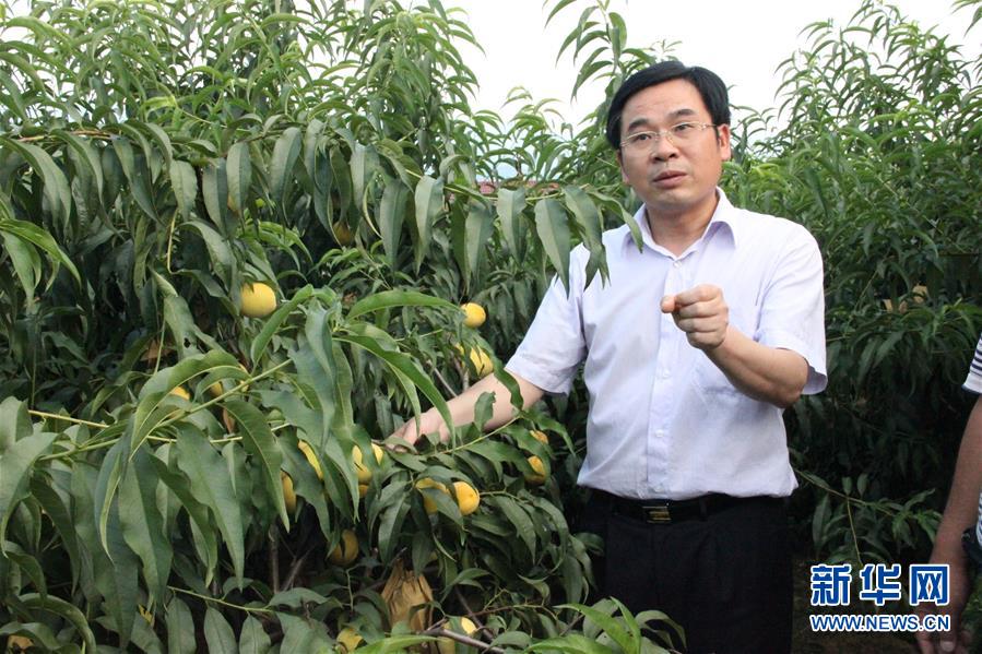 (圖文互動(dòng))(2)“為脫貧而來(lái),為脫貧而去”——追記湖南炎陵縣委原書(shū)記黃詩(shī)燕