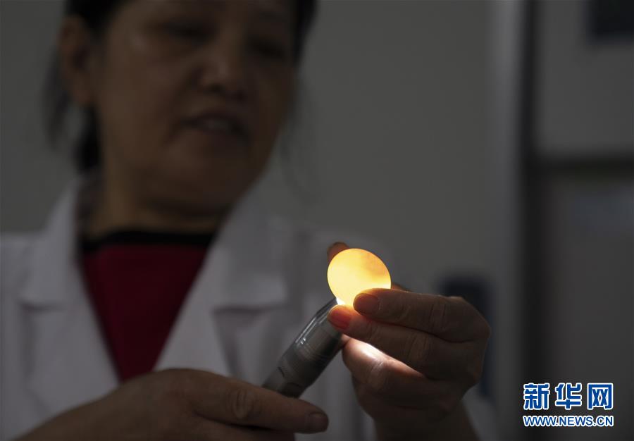 （決戰決勝脫貧攻堅&middot;圖文互動）（2）小鴿子帶來大希望&mdash;&mdash;河北阜平硒鴿產業&ldquo;飛翔&rdquo;記