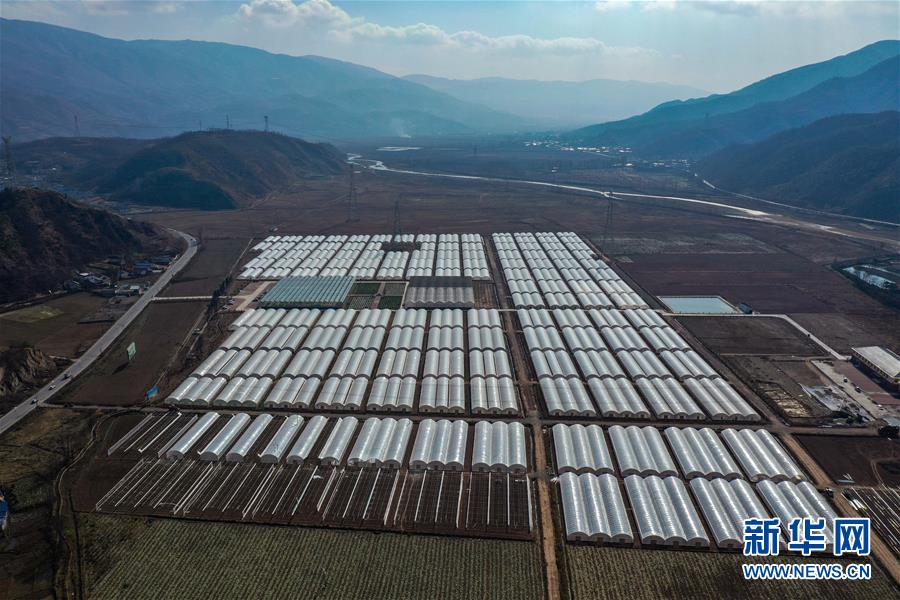 (新華全媒頭條·圖文互動)(8)踐諾大涼山