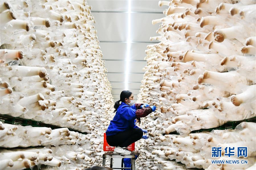 （決戰決勝脫貧攻堅&middot;圖文互動）（1）補短板 促就業 穩增收&mdash;&mdash;貴州向脫貧&ldquo;硬骨頭&rdquo;發起總攻