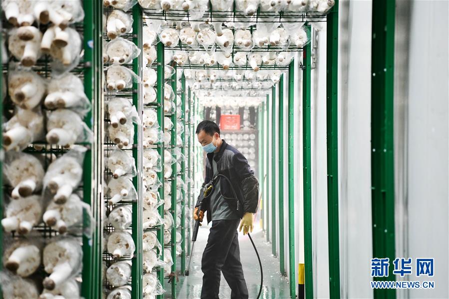 （決戰決勝脫貧攻堅&middot;圖文互動）（3）補短板 促就業 穩增收&mdash;&mdash;貴州向脫貧&ldquo;硬骨頭&rdquo;發起總攻