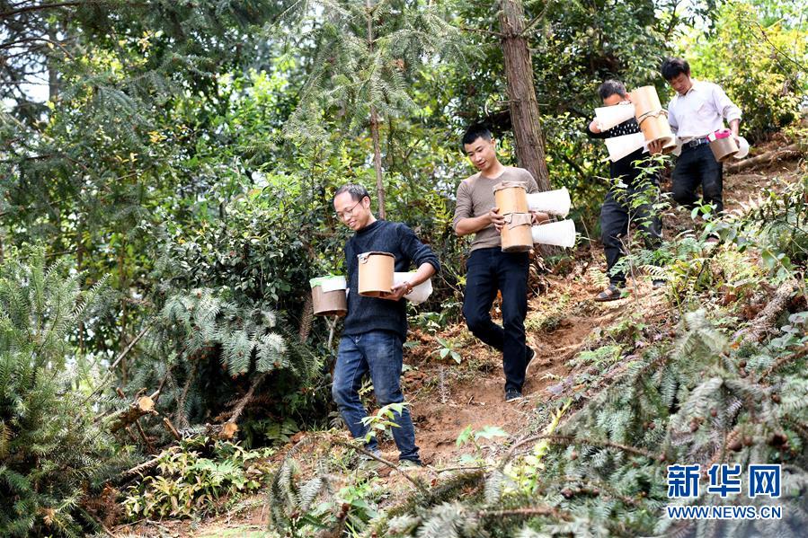 （決戰(zhàn)決勝脫貧攻堅&middot;圖文互動）（1）&ldquo;小蜂王&rdquo;的大夢想