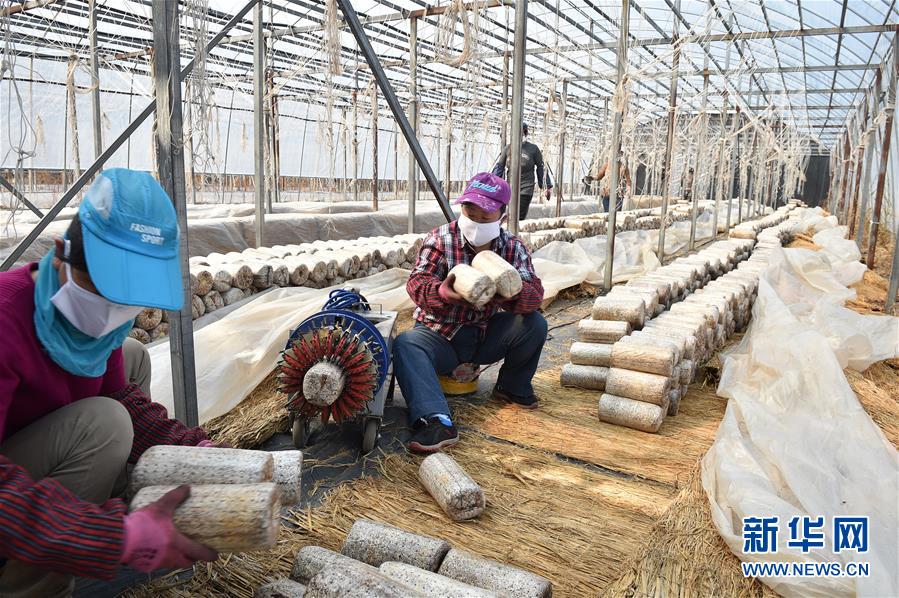 (決戰(zhàn)決勝脫貧攻堅·圖文互動)(4)長白山下唱新篇——吉林延邊州脫貧攻堅觀察