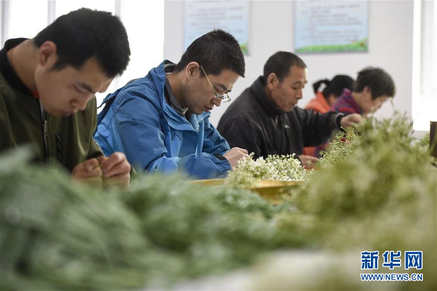 （在習(xí)近平新時(shí)代中國(guó)特色社會(huì)主義思想指引下&mdash;&mdash;新時(shí)代新作為新篇章&middot;習(xí)近平總書記關(guān)切事&middot;圖文互動(dòng)）（5）六盤山下的誓言&mdash;&mdash;來自寧夏的脫貧故事