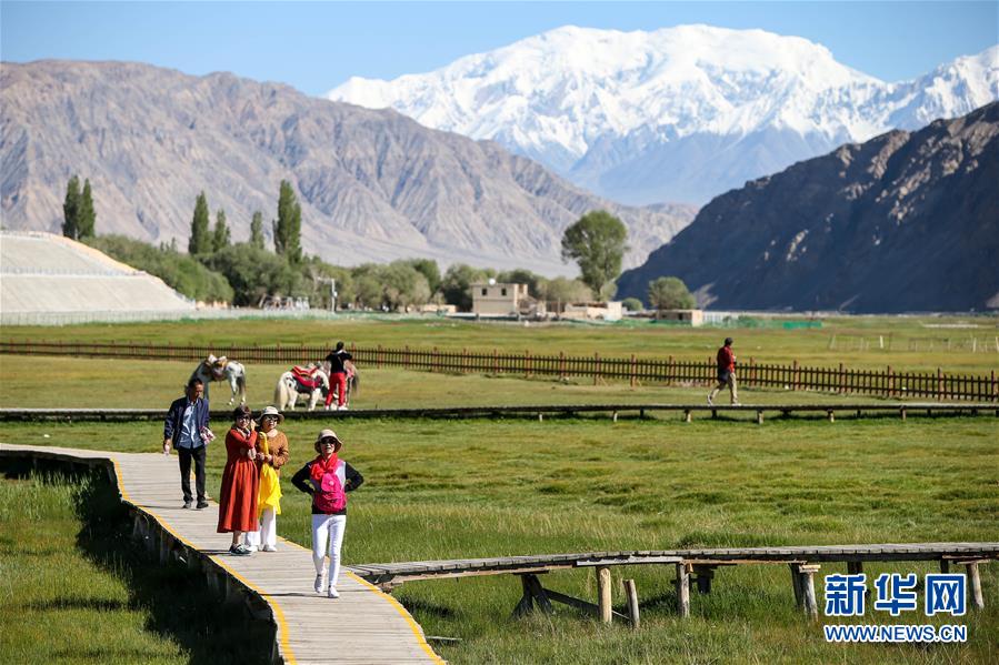 （新華全媒頭條&middot;圖文互動）（15）飛吧，&ldquo;帕米爾雄鷹&rdquo;！